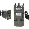 110V AC Gear Motor Reversible Motor + Variable Speed Controller