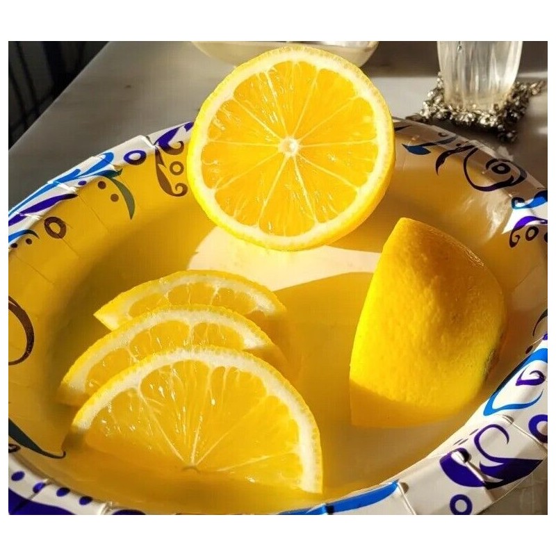 Best The Best Damn Blueberry Lemon Jam~Homemade~F