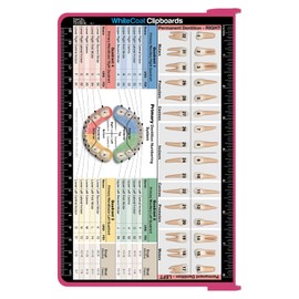 WhiteCoat Clipboard - Pink - Dental Edition