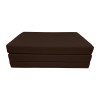 Danfuton Twin Trifold Foam Bed, Shikibuton, Sleeper Ottoman Mattress 4x39x