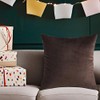 Andreannie Set of 4 Velvet Super Soft Comfortable Solid Decorative