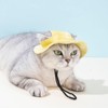 Leap Raupe Dog Hat, Ears, Summer, Pets, Clothes, Cats, Small