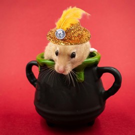 Lopsity Chicken Hats for Hens Mini Hats for Pets Tiny Hats Small Reptile Animal Hamster Parrot Hat with Adjustable Elastic Chin Strap (Yellow+RED+Blue)