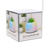 Room2room Succulent Diffuser