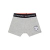 SALT AND PEPPER Boys' Boxer Shorts (Pack of 3), multi-coloured