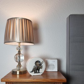 Triceratops Money Box Dinosaur Piggy Bank Prehistoric Triceratops Figure Prehistoric Treasure for Children Triassic Jurassic Chalk Horn Design