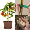 100 PCS 2FT (24 Inch) Bamboo Plant Stakes – Natural