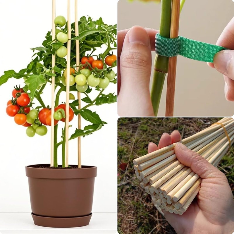 100 PCS 2FT (24 Inch) Bamboo Plant Stakes – Natural