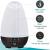 HealthSmart Essential Oil Diffuser, Cool Mist Humidifier and Aromatherapy Diffuser