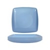 Gripebao 8.7 Inch Square Dinner Plates Set of 5, Plastic