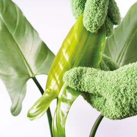 SuperMoss (01720) Natural Leaf Shine Spray – Cold-Pressed Neem Oil Formula for Indoor Greenery & Outdoor Use | Non-Greasy Polish to Refresh Foliage and Remove Build-Up | Easy-Mist Bottle, 8.45 oz