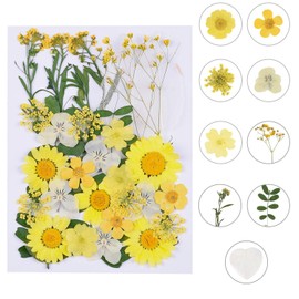 Dried Pressed Flowers, Natural Dried Flowers, Real Pressed Flowers, Colorful Dry Flowers for Resin Jewelry Nail Art Craft DIY (Yellow)