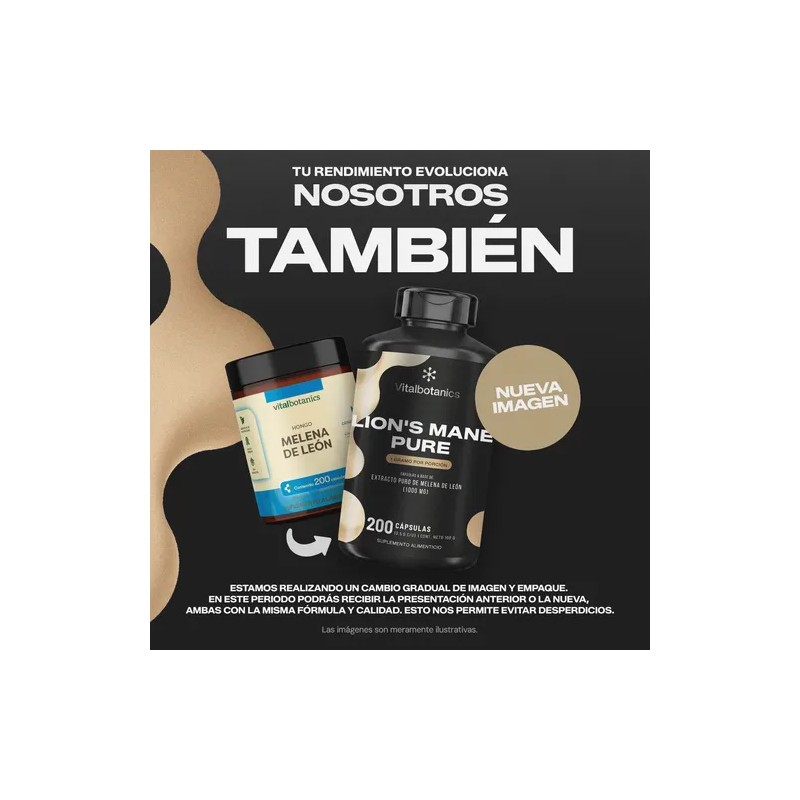 Hongo Melena De Leon Nootropico 200 Capsulas Vitalbotanics