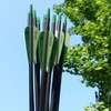 Tiger Archery 30Inch Carbon Arrow Practice Hunting Arrows with Removable