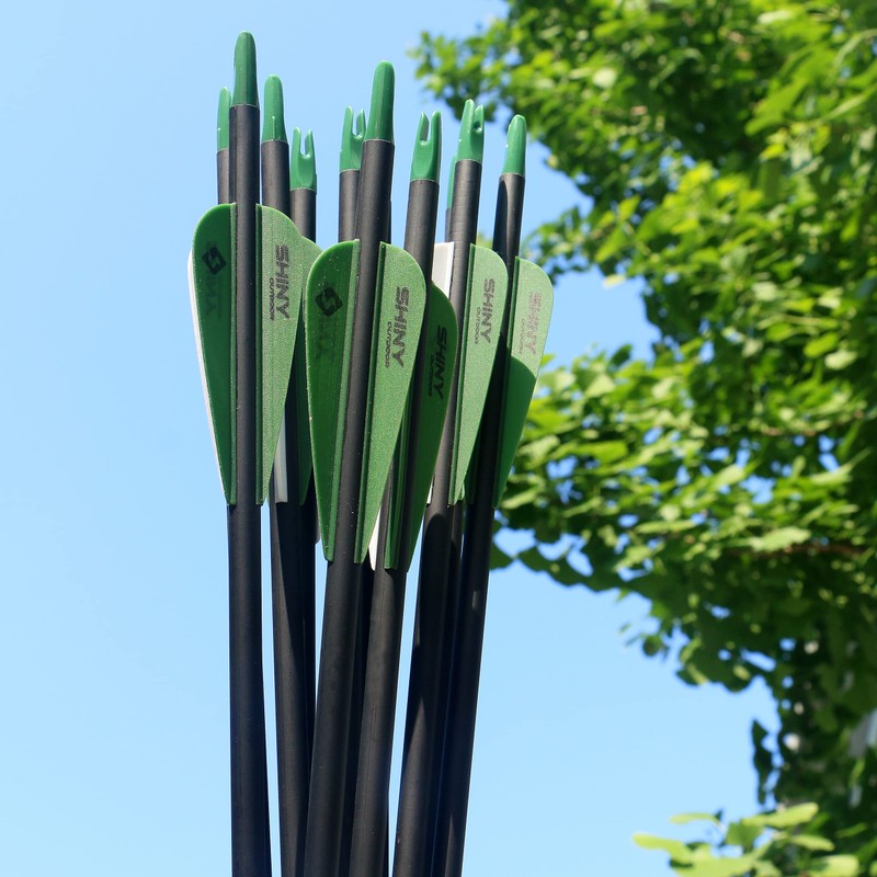 Tiger Archery 30Inch Carbon Arrow Practice Hunting Arrows with Removable
