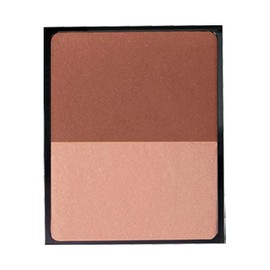 ANNA SUI Compact Teak 6g 700