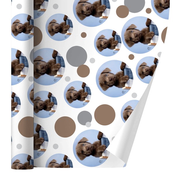 GRAPHICS & MORE Chocolate Lab Labrador Deckchair Lounge Chair Gift