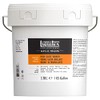 Liquitex Professional High Gloss Varnish, 3.78L (gallon/128-oz)