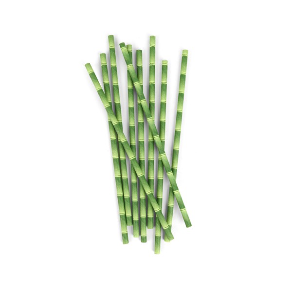 Kikkerland Biodegradable Paper Straws, Bamboo, Box of 144