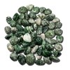 Tree Agate Natural Healing Crystal Gemstone tumbled & hand polished