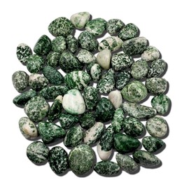 Tree Agate Natural Healing Crystal Gemstone tumbled & hand polished Stones - 2pc set tree agate