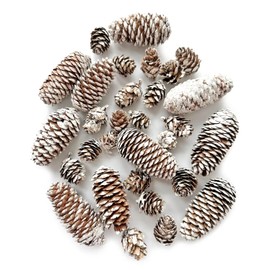 30PCS Christmas Pine Cones Decorations, Natural Snow Pinecones Bulk - 10pcs Large Pine Cones and 20pcs Mini Pine Cones for Xmas, Holiday, Winter Crafts, Table, Wreath,Bowl Decor,Gift,Thansgiving,Party