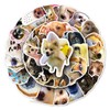 Meme Cat Stickers for Laptop(50 Pcs),Gift for Kids Teens Adults