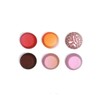 Gcardist 300-Count Standard Gradient Cupcake Liners Cupcake Cups 6 Design