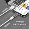 Micro USB Type C Converter, USB C to Micro USB