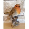 Vivid Arts British Birds Robin Size F