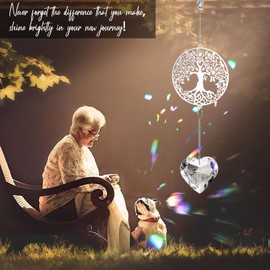 Elivida Retirement Gift for Woman Men, Best Gifts for Retirement 2025, You Shine The Work Rainbow Maker Cool Farewell Gifts, Going Away Gift Crystal Hanging Ornament for Coworker, Tree Life Design