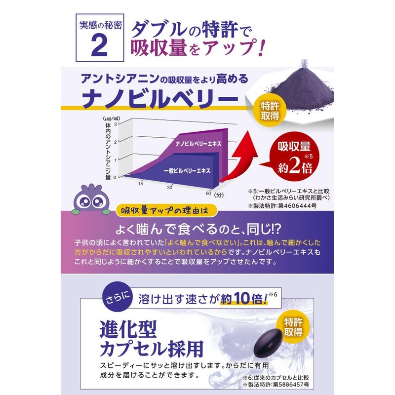 【公式】わかさ生活 ブルーベリーアイ 1袋 31粒入り 約1ヵ月分 ナノビルベリーエキス ルテイン ヒアルロン酸 など28種類の成分配合