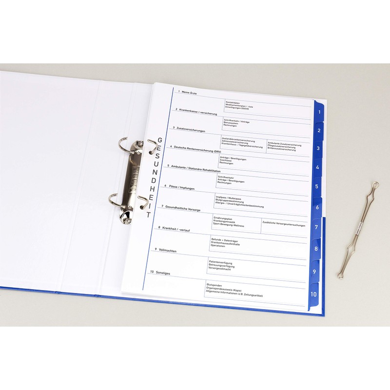 Theme Ring Binder with Tabs / Dividers - Health -