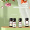 Fragrance Oil Set, 20pcs/box Natural Fragrance for Bedroom Living Room