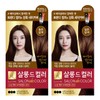 Partner_Reference 엘라스틴 살롱 드 컬러 염색제 세트 짙은갈색 2개