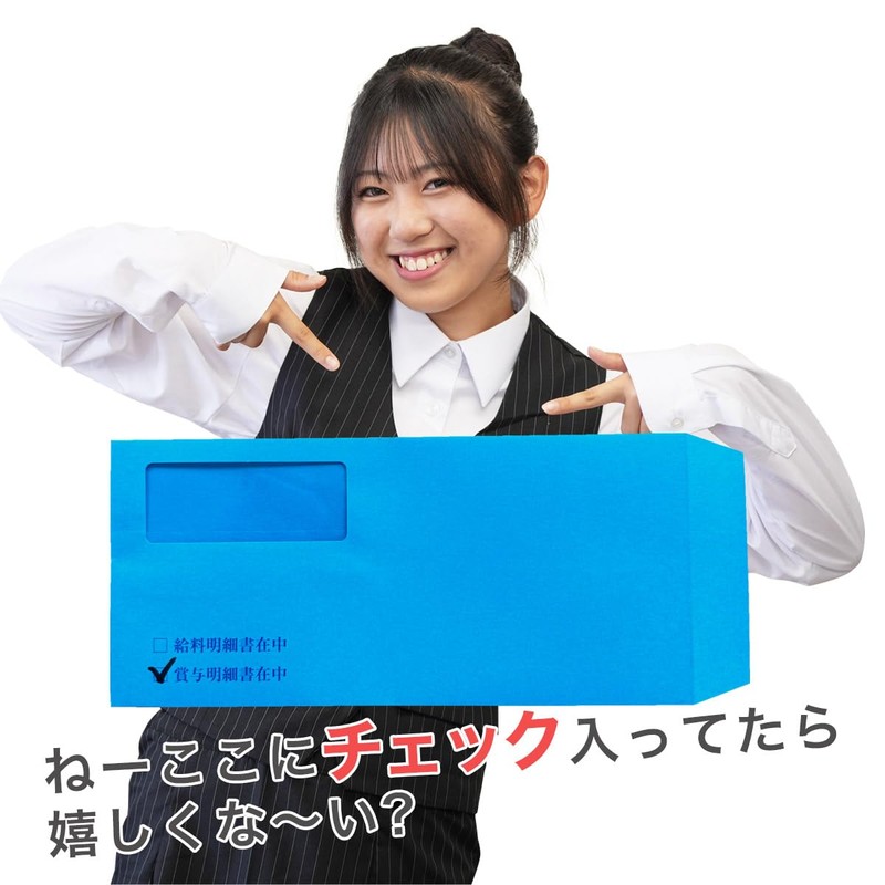 BSL Payroll Camel Series Compatible with Payroll Envelope (Window) with