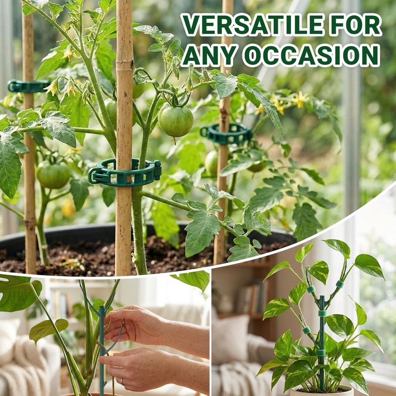 5pack Monstera Plant Support – Stackable Indoor & Outdoor Support,