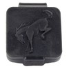 2021-2024 Ford Big Bronco/Bronco Sport 2"" Tow Hitch Bucking Bronco