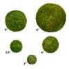SuperMoss (21769) Moss Balls, Fresh Green, 2 (9 Pack)"