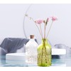 Gyaxiang 2Pcs Clear Glass Reed Diffuser Bottles with Cork Lid,Apothecary