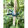 AU Plant Support Clips (40, Large 1 3/4")