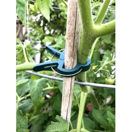 AU Plant Support Clips (40, Large 1 3/4")