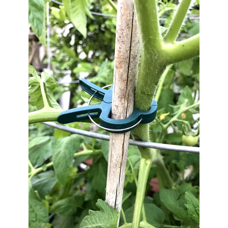 AU Plant Support Clips (40, Large 1 3/4")