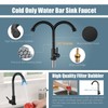 Aolemi Cold Water Only Kitchen Faucet Black 304 Stainless Steel