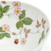 Wedgwood 1068924 Wild Strawberry Casual Bowl Plate, 6.3 inches (16