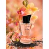 Signature Pour Femme Eau de Toilette. Chypre Fruity fragrance for
