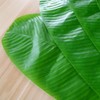 Artificial Tropical Banana Leaves Hawaiian Luau Party Jungle Beach Theme