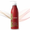 Nutrition Ampoule Essence Natural Setting Hair Serum 500g (WA82525) - Basic product / 영양앰플 에센스 내추럴세팅 헤어 세럼 500g (WA82525) - 기본상품