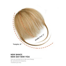 DILUSILK Bangs Hair Clip in Fringe Bangs Remy Real Human Hair Pieces for Women Daily Wear Wispy Bangs Standard Dark Blonde