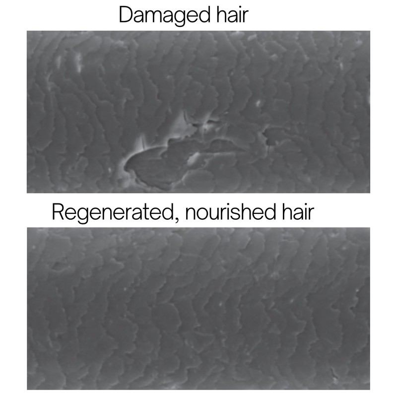 Rausch Amaranth Repair Rinse Conditioner For Damaged Hair 150ml